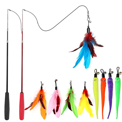 Best Toys for Cats: Top 5 Interactive Fun to Keep Indoor Kitties Happy 3 MeoHui Interactive Cat Toys - Retractable Wand Toy and Feather Toys Refills for Indoor Cats to Chase and Exercise