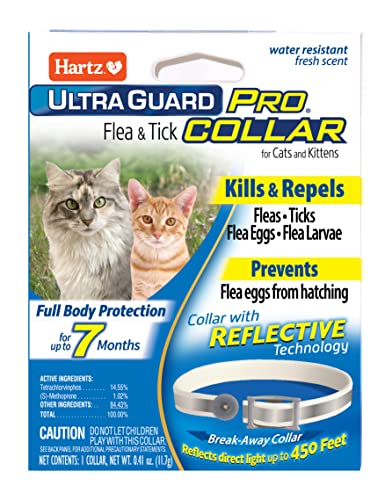 Best Flea Collar for Cats: Top Picks for Long-Lasting Protection 5 Hartz UltraGuard Pro Flea & Tick Collar for Cats and Kittens, 7 Month Flea and Tick Prevention and Protection, 1 Collar